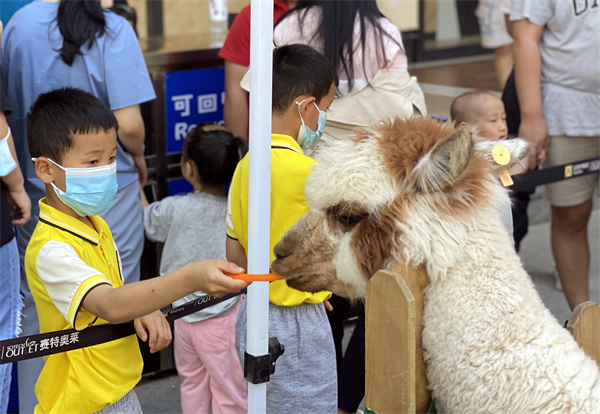 ����ϣ����williamhill(�й�)���Ĺٷ���վ