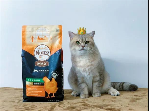 ����ϣ����williamhill(�й�)���Ĺٷ���վ