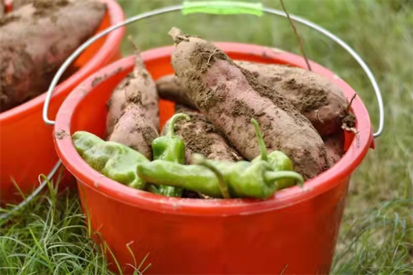 ����ϣ����williamhill(�й�)���Ĺٷ���վ