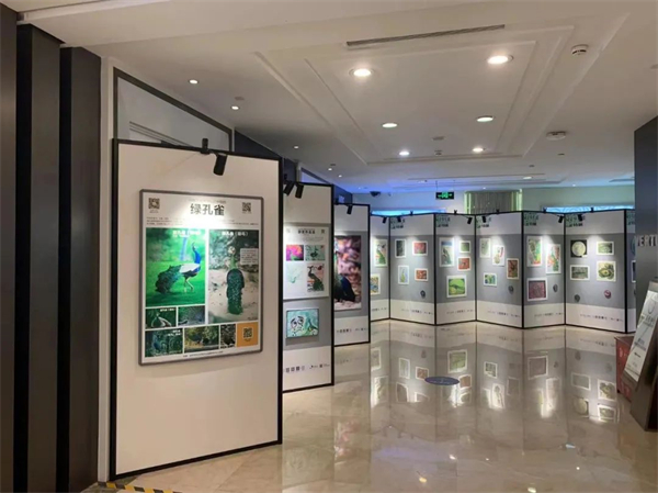 ����ϣ����williamhill(�й�)���Ĺٷ���վ