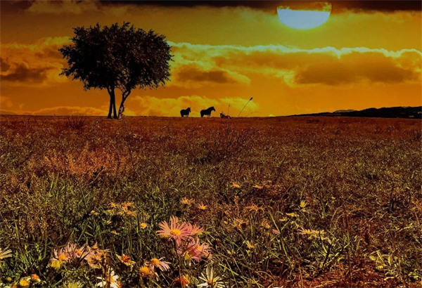 ����ϣ����williamhill(�й�)���Ĺٷ���վ