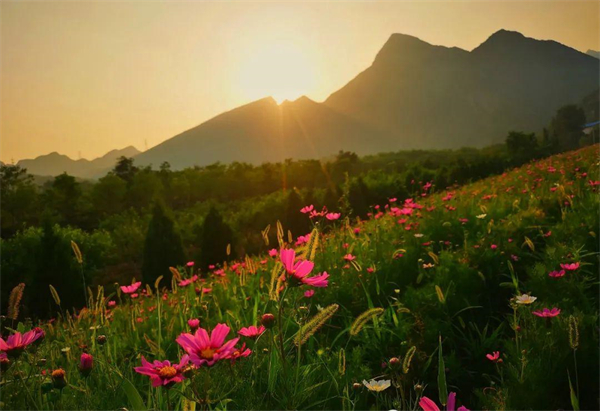 ����ϣ����williamhill(�й�)���Ĺٷ���վ