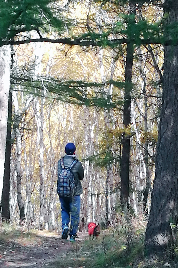 ����ϣ����williamhill(�й�)���Ĺٷ���վ