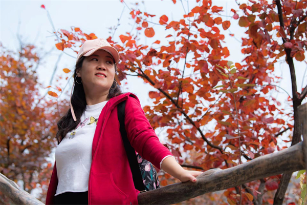 ����ϣ����williamhill(�й�)���Ĺٷ���վ