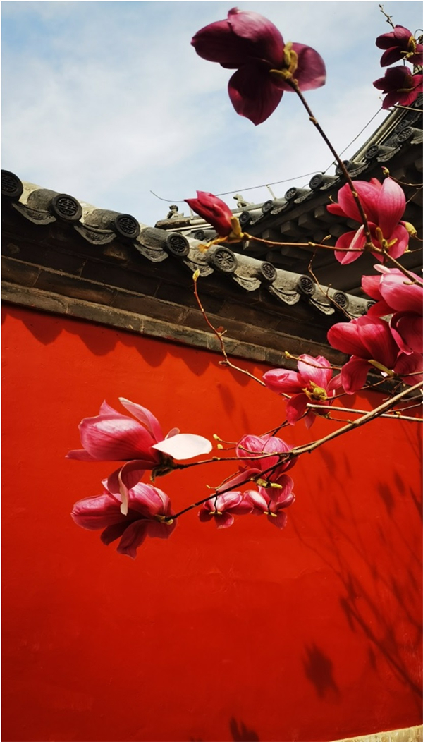 ����ϣ����williamhill(�й�)���Ĺٷ���վ