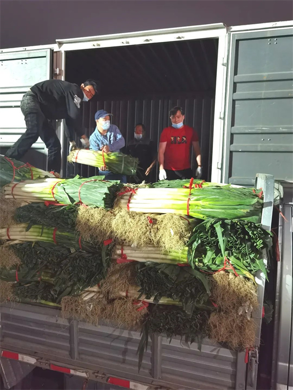 ����ϣ����williamhill(�й�)���Ĺٷ���վ