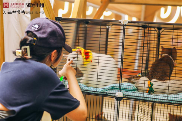 ����ϣ����williamhill(�й�)���Ĺٷ���վ