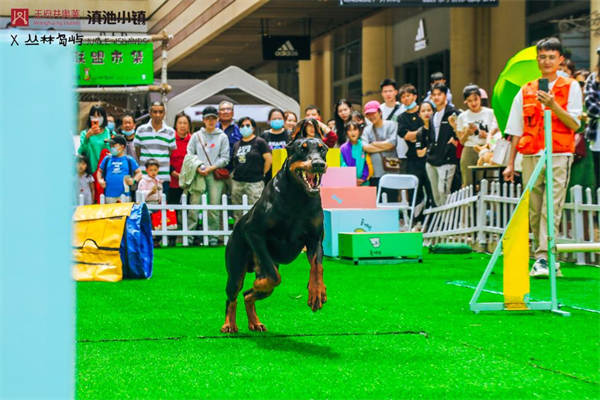 ����ϣ����williamhill(�й�)���Ĺٷ���վ