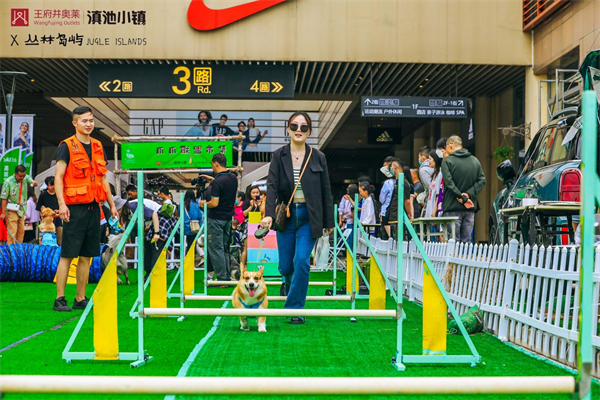 ����ϣ����williamhill(�й�)���Ĺٷ���վ