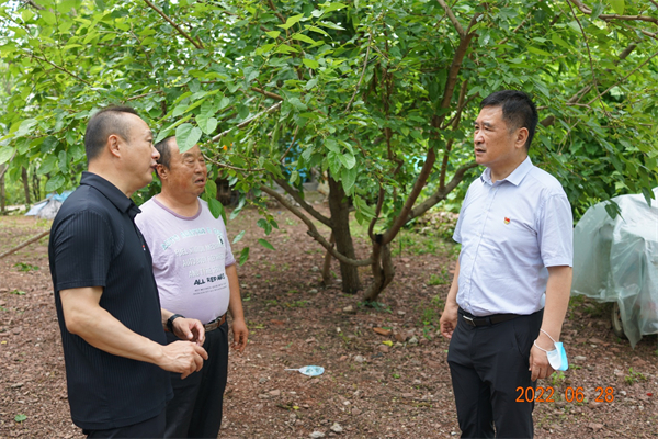 ����ϣ����williamhill(�й�)���Ĺٷ���վ